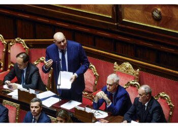 Appello al Parlamento