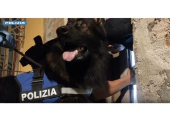 Operazione contro cosca del Catanese