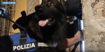 Operazione contro cosca del Catanese