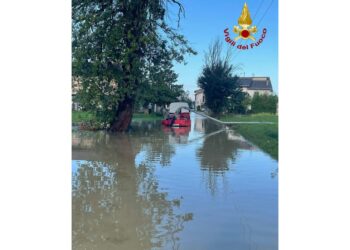 I vigili del fuoco impegnati in diversi interventi