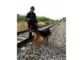 Aggredita di notte mentre stava andando a prendere il treno