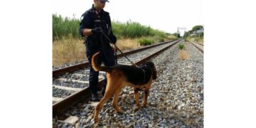 Aggredita di notte mentre stava andando a prendere il treno
