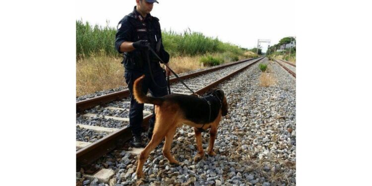 Aggredita di notte mentre stava andando a prendere il treno