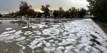 Bovini bloccati negli alpeggi