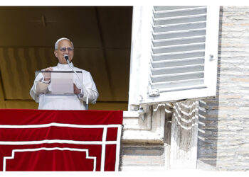 Leone all'Angelus
