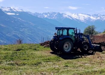 L'anziano stava spostando dei tronchi quando è stato schiacciato