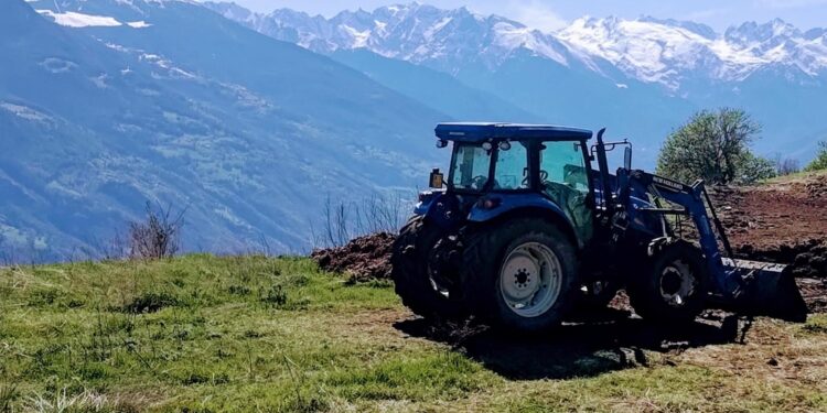 L'anziano stava spostando dei tronchi quando è stato schiacciato