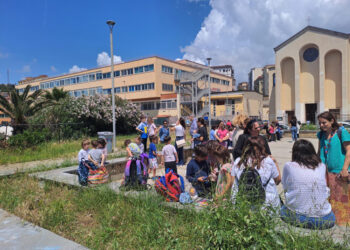 Media Ocse è del 27%