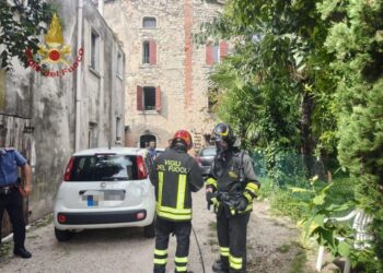 Il rogo poco prima di mezzogiorno a Lazise