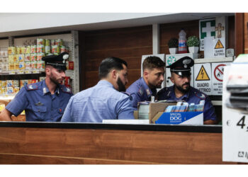 Il 55enne è salito sul parabrezza per cercare di fermarlo