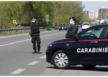 Il tribunale di Piacenza ha riconosciuto il vitalizio