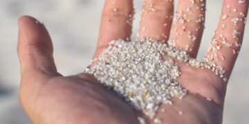 Segnalazione ecologisti Grig alla Forestale
