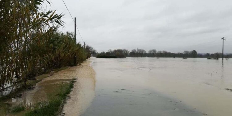 In salvo persone bloccate nelle auto sommerse dall'acqua