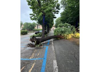 Decine di interventi dei vigili del fuoco