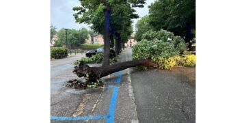 Decine di interventi dei vigili del fuoco