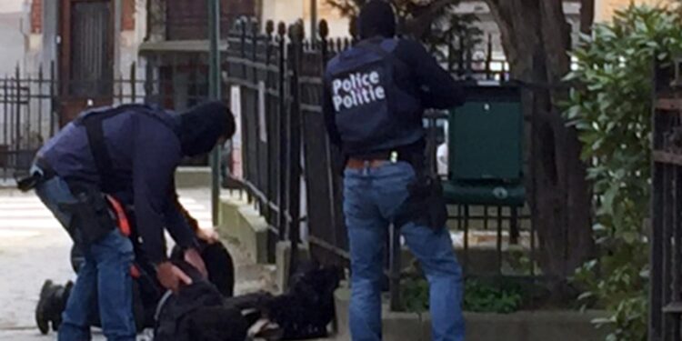 Ministro Difesa: 'Disponibile