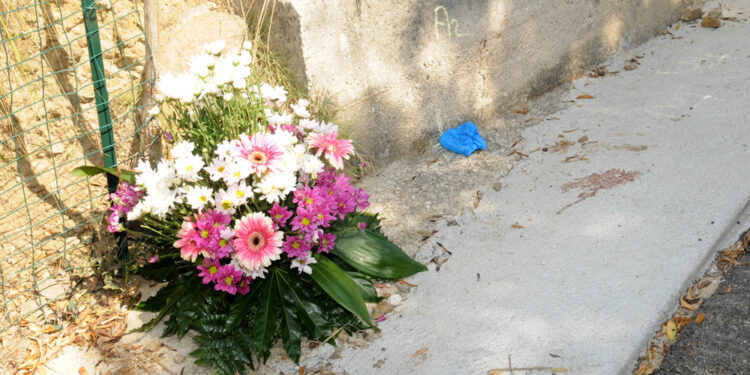 'Sosteniamo la sua battaglia per la legalità'