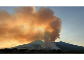 Bilancio dei vigili del fuoco