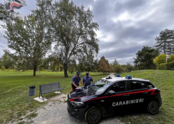 Il tentato omicidio a Castel San Pietro