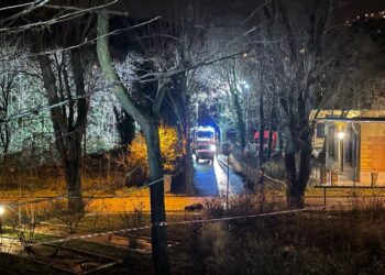 Analisi su 4 cadaveri per un'indicazione sulla data della morte