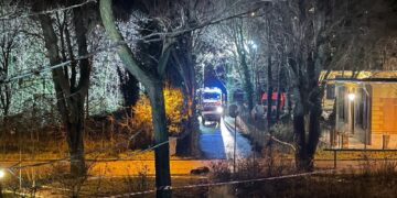 Analisi su 4 cadaveri per un'indicazione sulla data della morte