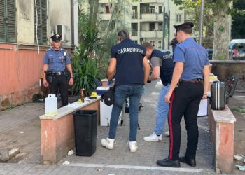 Indagano i carabinieri