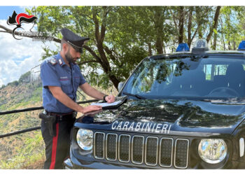 Controlli dei carabinieri in terreno a Seminara