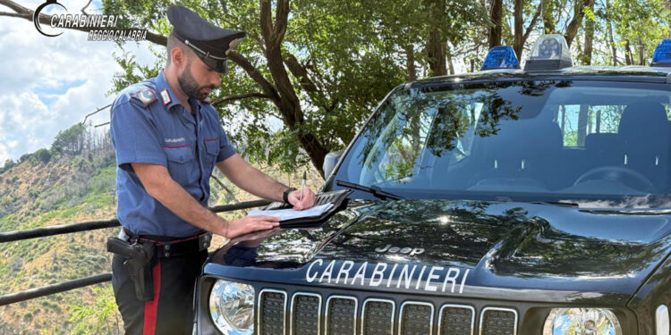 Controlli dei carabinieri in terreno a Seminara