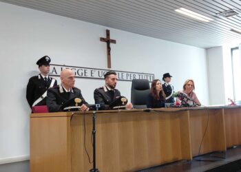 Procuratrice Pedio