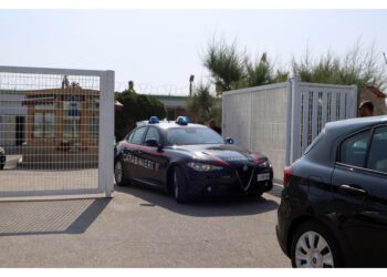(v. 'Uomo ferito da colpi di arma da fuoco...' delle 11.05)