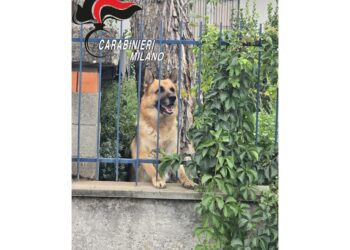 Intervengono i carabinieri