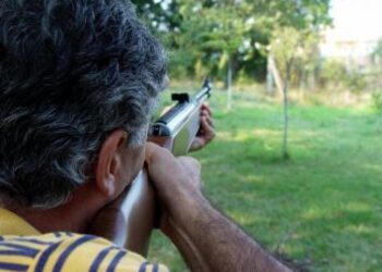 Ddl incostituzionale