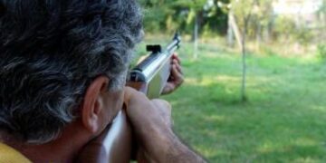 Ddl incostituzionale