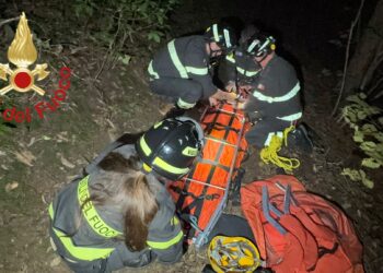 Via Segantini, i soccorsi dei Vigili del Fuoco