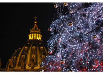 La Natività in piazza dalla Campania. L'albero dall'Alto Adige