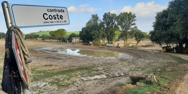 Regione tra responsabili civili