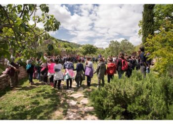 4milioni studenti coinvolti in progetti Fai