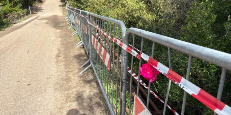 Il giovane è indagato per omicidio stradale