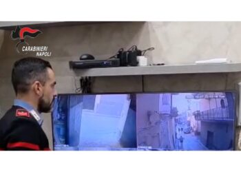 Coca in doppio fondo