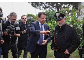 'Facciamo appello a tutti