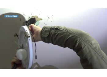 Sul cellulare app per controllare le immagini in tempo reale