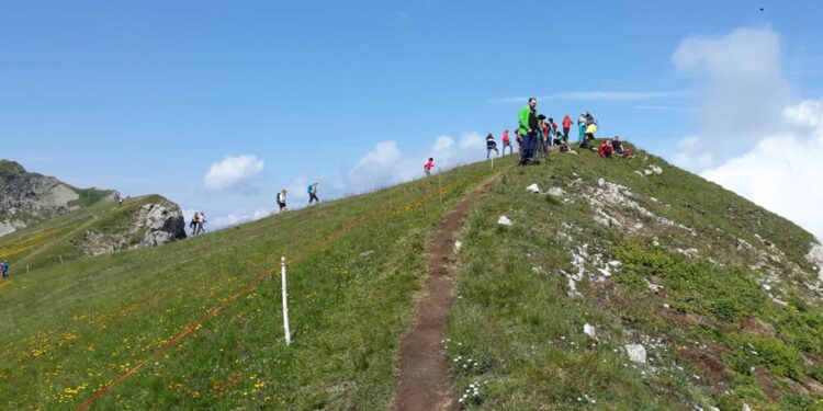 Dal 2026 prenotazione delle 'finestre' d'accesso come nei musei