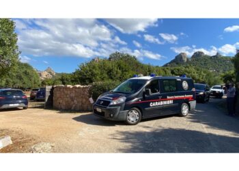 A rilievi partecipa anche Agenzia Forestas con attrezzi agricoli