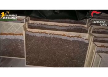 Nel Torinese sette siti di produzione e stoccaggio clandestini