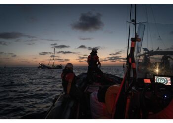 'L'intercettazione partita dall'Alma che è stata isolato'