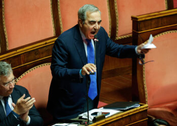 Può farlo un quinto dei parlamentari