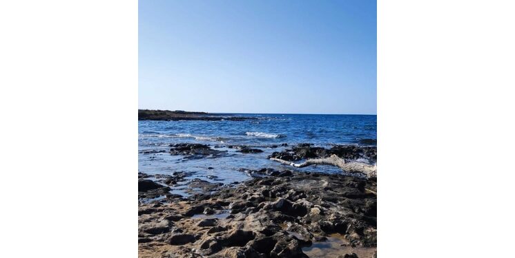 Scoperta dalla nave Gaia Blu del Cnr durante la missione Demetra