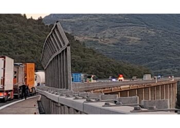Automobilisti increduli