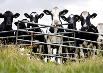 Meccanismi rapidi contro impennate dell'import o calo dei prezzi