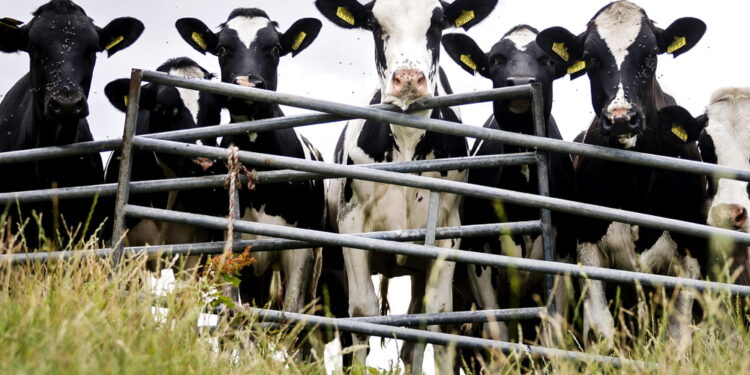 Meccanismi rapidi contro impennate dell'import o calo dei prezzi